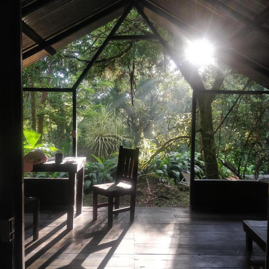 Los Mineros Guesthouse Dos Brazos المظهر الخارجي الصورة