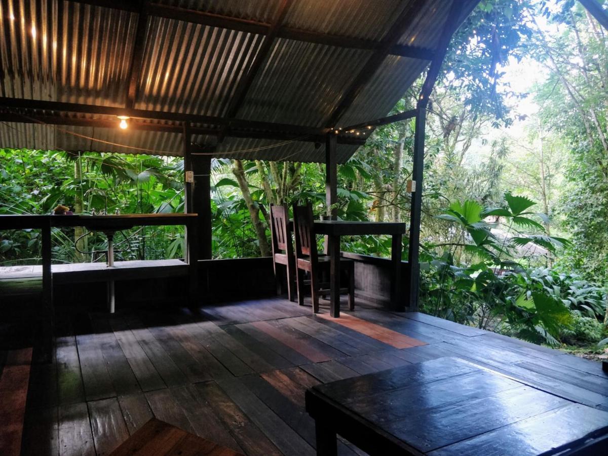 Los Mineros Guesthouse Dos Brazos المظهر الخارجي الصورة