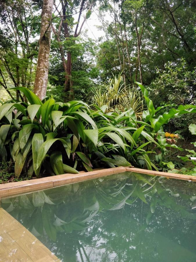 Los Mineros Guesthouse Dos Brazos المظهر الخارجي الصورة