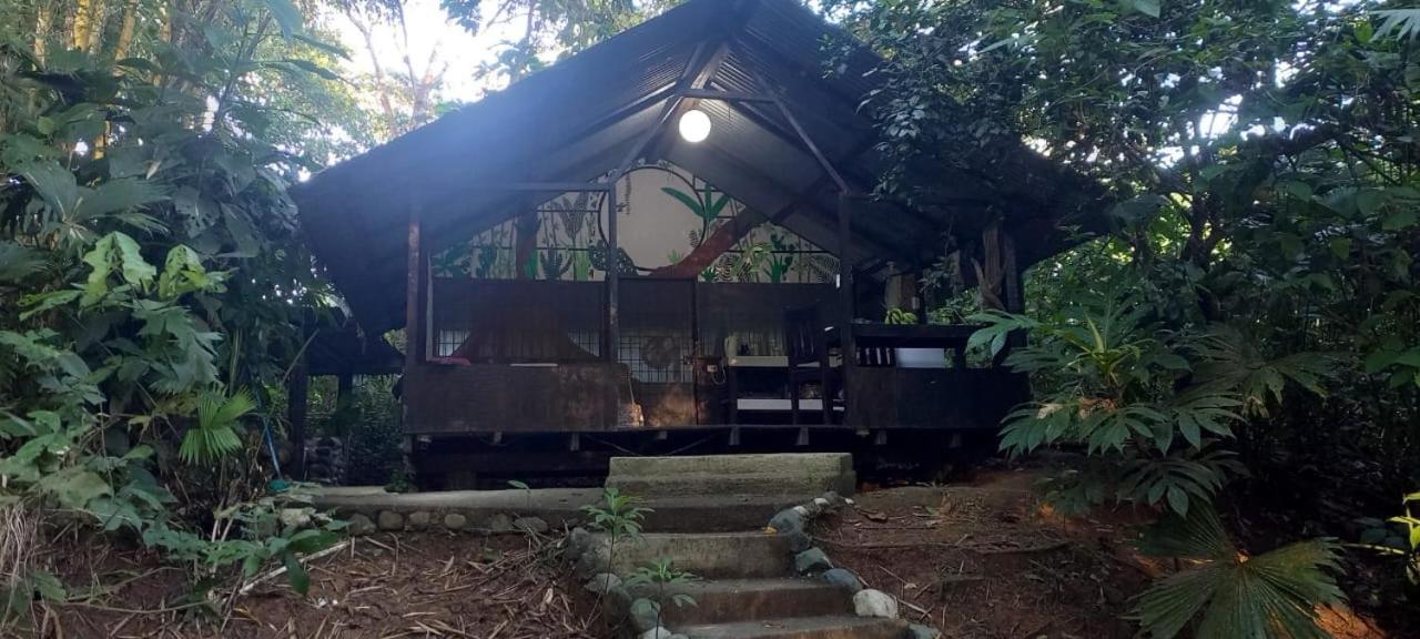 Los Mineros Guesthouse Dos Brazos المظهر الخارجي الصورة
