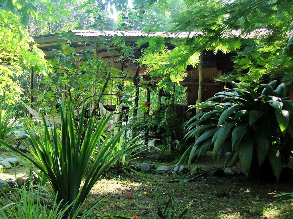 Los Mineros Guesthouse Dos Brazos المظهر الخارجي الصورة