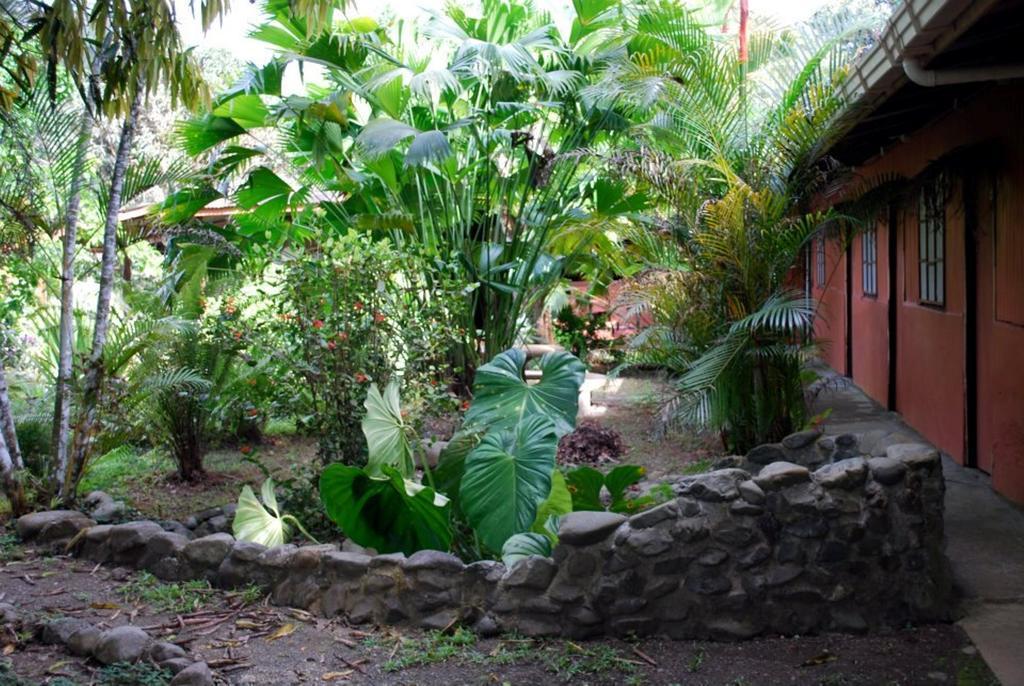 Los Mineros Guesthouse Dos Brazos الغرفة الصورة