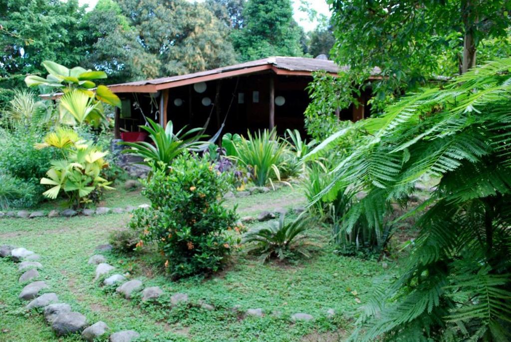 Los Mineros Guesthouse Dos Brazos المظهر الخارجي الصورة