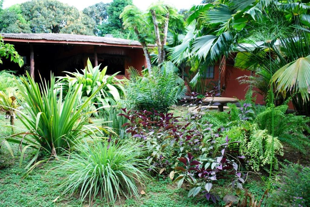 Los Mineros Guesthouse Dos Brazos المظهر الخارجي الصورة
