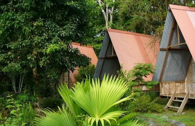 Los Mineros Guesthouse Dos Brazos الغرفة الصورة
