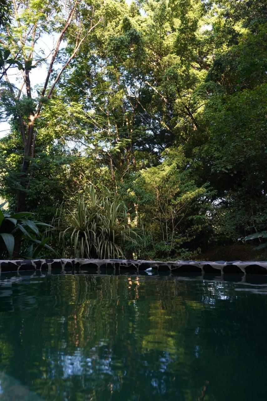 Los Mineros Guesthouse Dos Brazos المظهر الخارجي الصورة