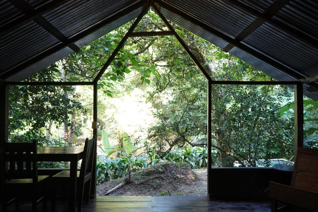 Los Mineros Guesthouse Dos Brazos المظهر الخارجي الصورة